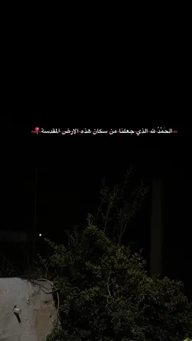 #غزه #تصويري📸اكسبلوور #viral #fyp #foryoupage❤️❤️ 