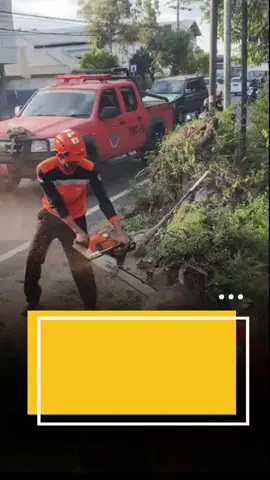 🌳Laporan Kejadian Pohon Tumbang🌳 Pada Selasa, 26 Agustus 2025 pukul 15.30 WIB, Pusdalops BPBD Lumajang menerima laporan pohon asem tumbang di depan kos putri Universitas Widyagama Lumajang dan di sekitar perempatan Jatiroto. Diduga pohon tumbang akibat lapuk dan terpaan angin kencang Tim Reaksi Cepat (TRC) BPBD Lumajang segera diterjunkan ke lokasi pukul 16.00 WIB untuk melakukan penanganan dan pembersihan. Proses berhasil diselesaikan pada pukul 16.30 WIB sehingga akses kembali normal. 👉 BPBD mengimbau masyarakat untuk selalu waspada terhadap cuaca ekstrem serta melaporkan segera bila menemukan kondisi pohon yang rawan tumbang di sekitar lingkungan. Salam Tangguh, Salam Kemanusiaan 🤝 #BPBDLumajang #PohonTumbang #LumajangSiaga #TanggapDarurat #infobencana 