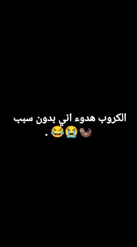 #حبايبنه مشن🥹😂😂.  #الشعب_الصيني_ماله_حل😂✌️ #الشعب_الصيني_ماله_حل😂😂 #fypシforyoupageシtiktok #dancewithpubgum 