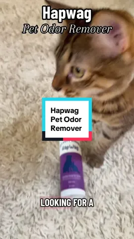 I absolutely love those pet odor remover because my kitty litter box be stinking a lot cause I have two kitties and this stuff works #cats #dogs #petodoreliminator #odorremoval 