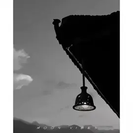 🍂🩹🖤 #poetrylover #virelvideo #poetrystatus #foryoupage #zardpattonkaband🍂 