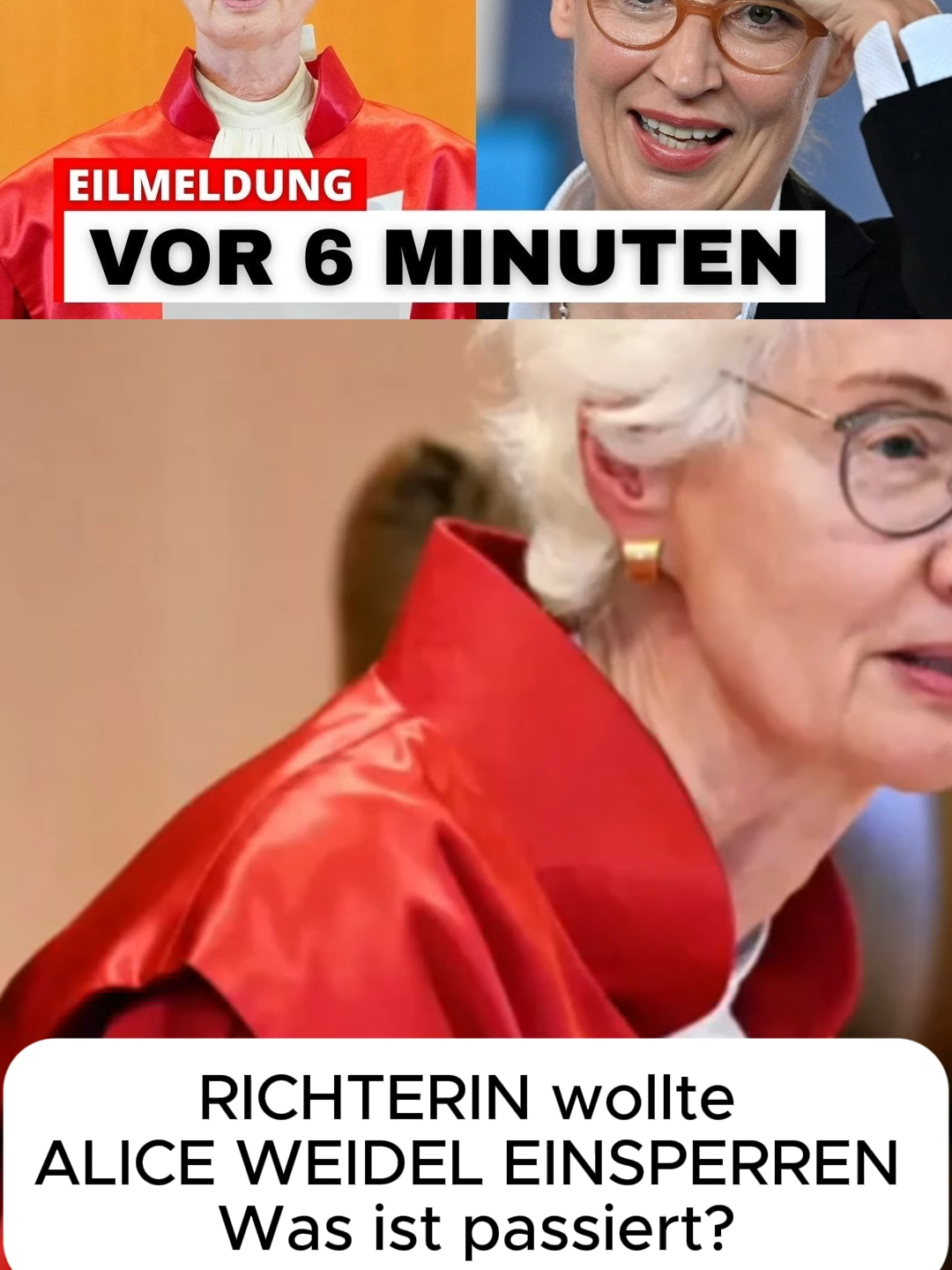141RICHTERIN wollte ALICE WEIDEL EINSPERREN - Was ist passiert?