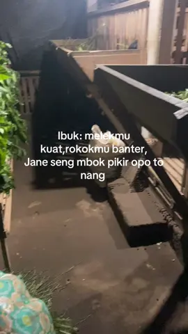 Ngene temen to gusti🥹 #etawakaligesing #etawaindonesia #peternakmuda #KandangBapakFarm #etawaluarbiasa 