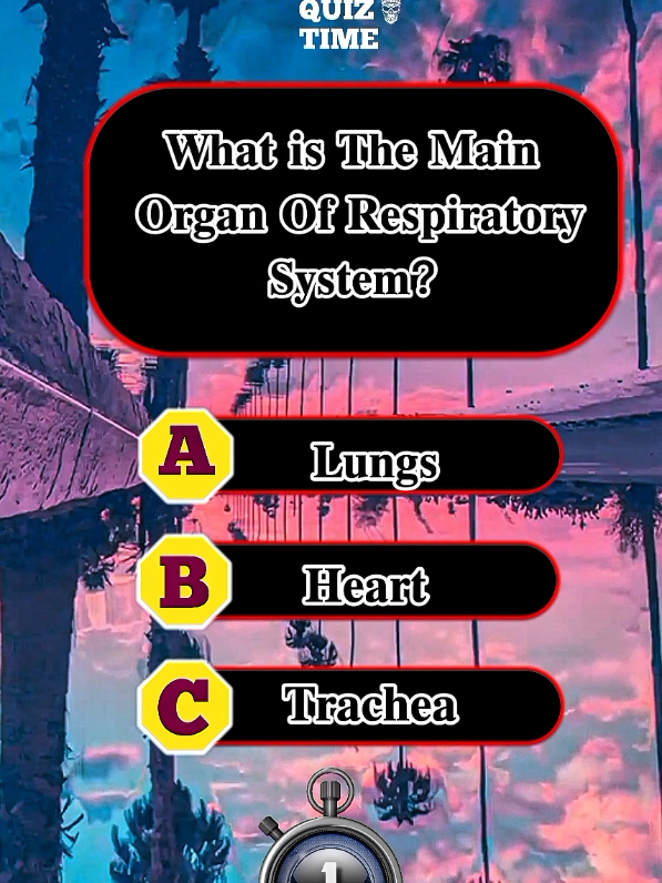 Human Anatomy Quiz | 𝐅𝐢𝐧𝐚𝐥 Part - Can you get 6/6? #humanbody #greysanatomy #quiz #quiztime #trivia