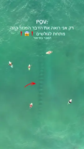 רק אני רואה מוטציה ⁉️😱😱 תרשמו לי בתגובות מה אתם רואים ? נקודה חשובה ❗️❗️ צולם בשדות ים בשקיעה מדגיש חוף בלי סלעים בכלל רק חול. חזרתי לצלם אחרי 20 דקות שוב באותה נקודה וזה לא היה שם מוזר מאוד !! אני גולש שם ומצלם המון שנים ובחיים לא ראיתי דבר כזה ❗️❗️ #מפחיד #פוריו#scary#foryou#f