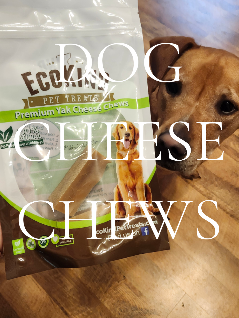 #dogsofttiktok #dogmusthaves #tiktokshop #tiktokshopfinds #tiktokshopdeals 