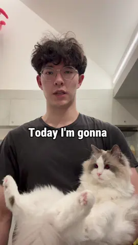 How many times can I swing my cat? #fyp #cat #catsoftiktok #funnycat #cats 