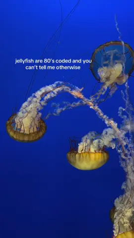 #jellyfish #ocean #80s 