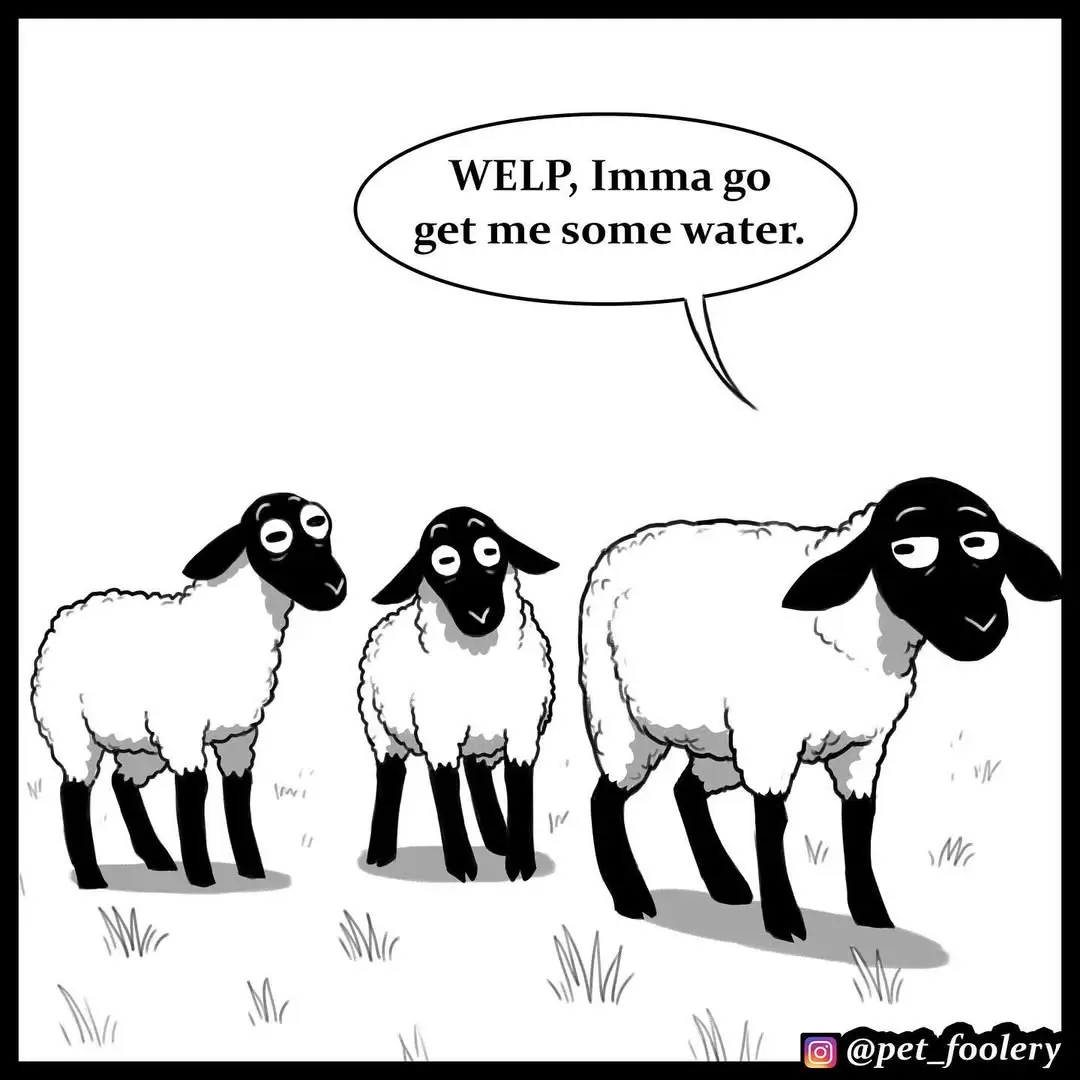 Credits: pet_foolery #webcomic #fyp #runeft 