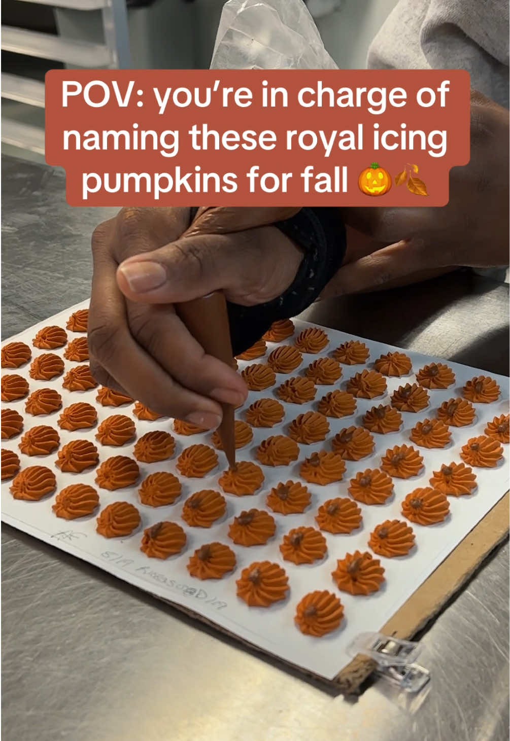 comment what you’d name them!🎃 #fyp #halloween #fall #pumpkin #fallvibes 
