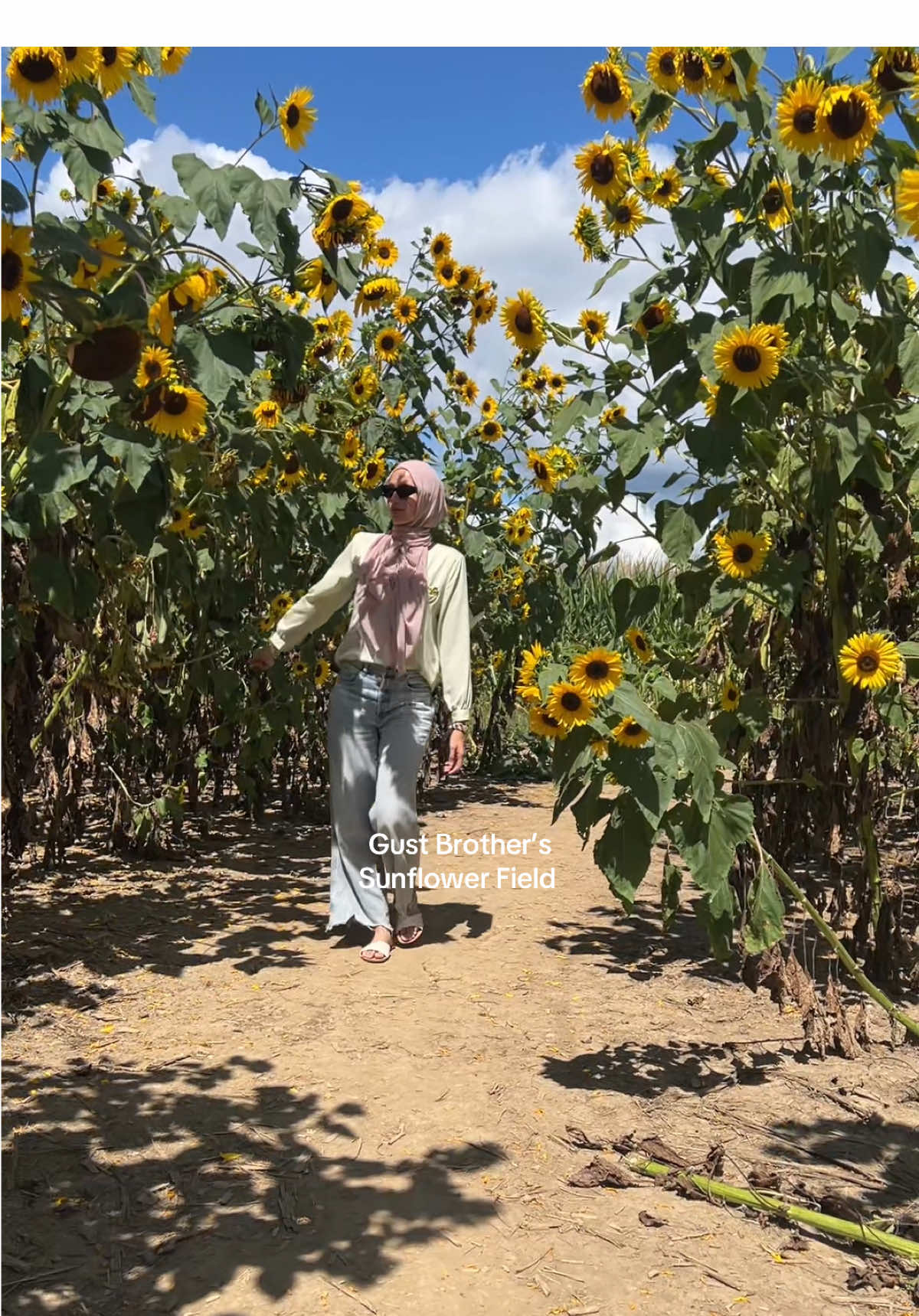 Come with me to Gust Brother’s Sunflowet Fields in Toledo, Ohio. It really is one of my favorite Fall activities. #fallactivities #toledoohio #gustbrothersflowerfield 