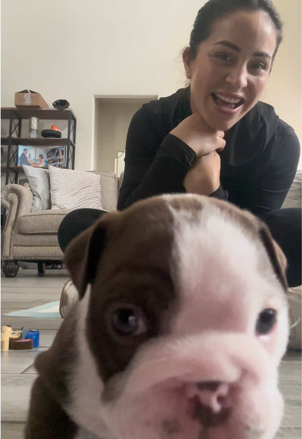 I think she did say hi. 🐶🐾 What do yall think, does she look like a mochi?? 🍡 #englishbulldog #cutenessoverload #puppytiktok #cuties #angelbreeder 