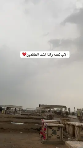 تسوه ديره من الحنان 💔 #الاب #فقدان_الاب #مقبرة_وادي_السلام_النجف #مقبرة_كربلاء_المقدسة #باسم_الكربلائي 
