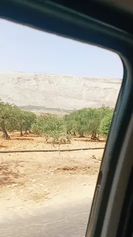 الشكر موصول لمن اردفني بهذا، التصوير الجميل من احد الاصدقاء سبحان من جعل في بعض الارض تشابه