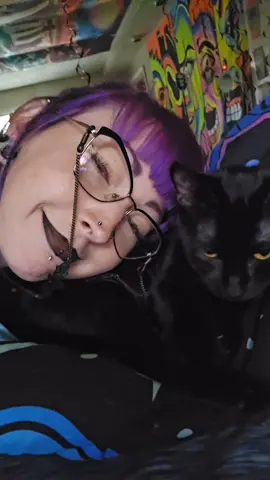 lucifur doesnt like to be picked up but he sure likes to snuggle😜🖤