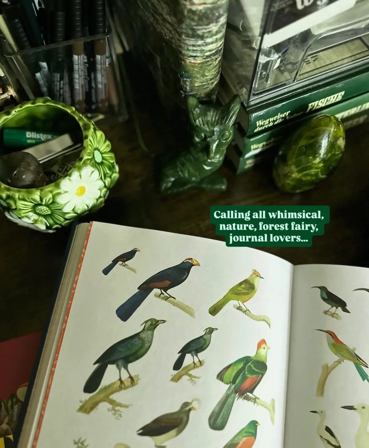 just a few of my favorite sticker books that i use in the journal. these are perfect for all whimsy, nature, fairy lovers! 🧚🌲🍄🦋✨ #whimiscal #journaling #stickerbook #nature 