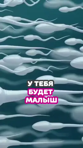 Дорогие, если вы только начали планировать свою беременность или давно мечтаете стать мамой, послушайте мою волшебную медитацию «Настрой на материнство». Переходите по ссылке в шапке профиля, чтобы получить ее в подарок🩷 #беременность #зачатие #планированиебеременности