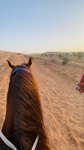 #نادي_زليتن_العز_للفروسية @وليد العيان #الله_ايبارك🖐️🔥 #خيل_وخياله🐎 