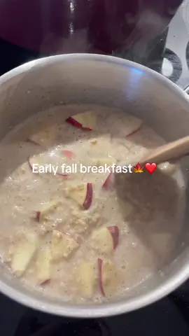 Love apple cinnamon oatmeal  #fall #cinnamon #oatmeal #fallrecipe #cozy #comfortfood #oats #applecinammon #applecake #warmbreakfast #sweetbreakfast #dessertbreakfast #fallbreakfast #fyp #tiktok #falltok #trending 
