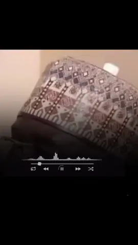 #creatorsearchinsights #foryoupage #arewa__tiktok #viralcontent #viralvideos 