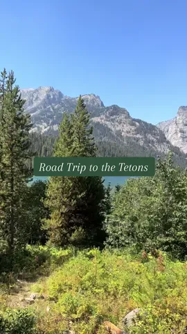 Mandatory trip to Jackson #roadtrip #mountains #jacksonhole #grandtetons #camping 