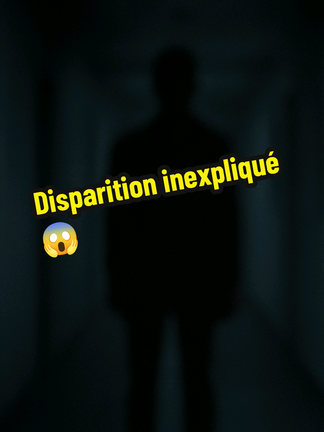 Disparition réel et encore inexpliqué à ce jour 😱😱  #scary #disparition #mystere #paranormal #horreur 