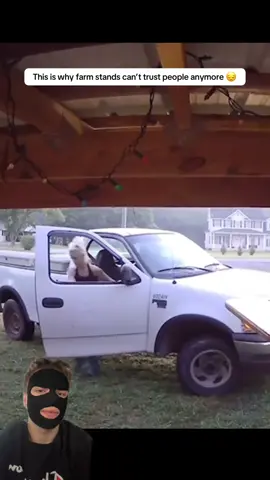 Sharing this video to educate the public to do better. This is outrageous and sad. Shout out to Lost Bottoms they deserve better. #sad #thief #farmstand 