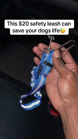#petsafety #carsafetyleash #dogsafety #PetsOfTikTok 