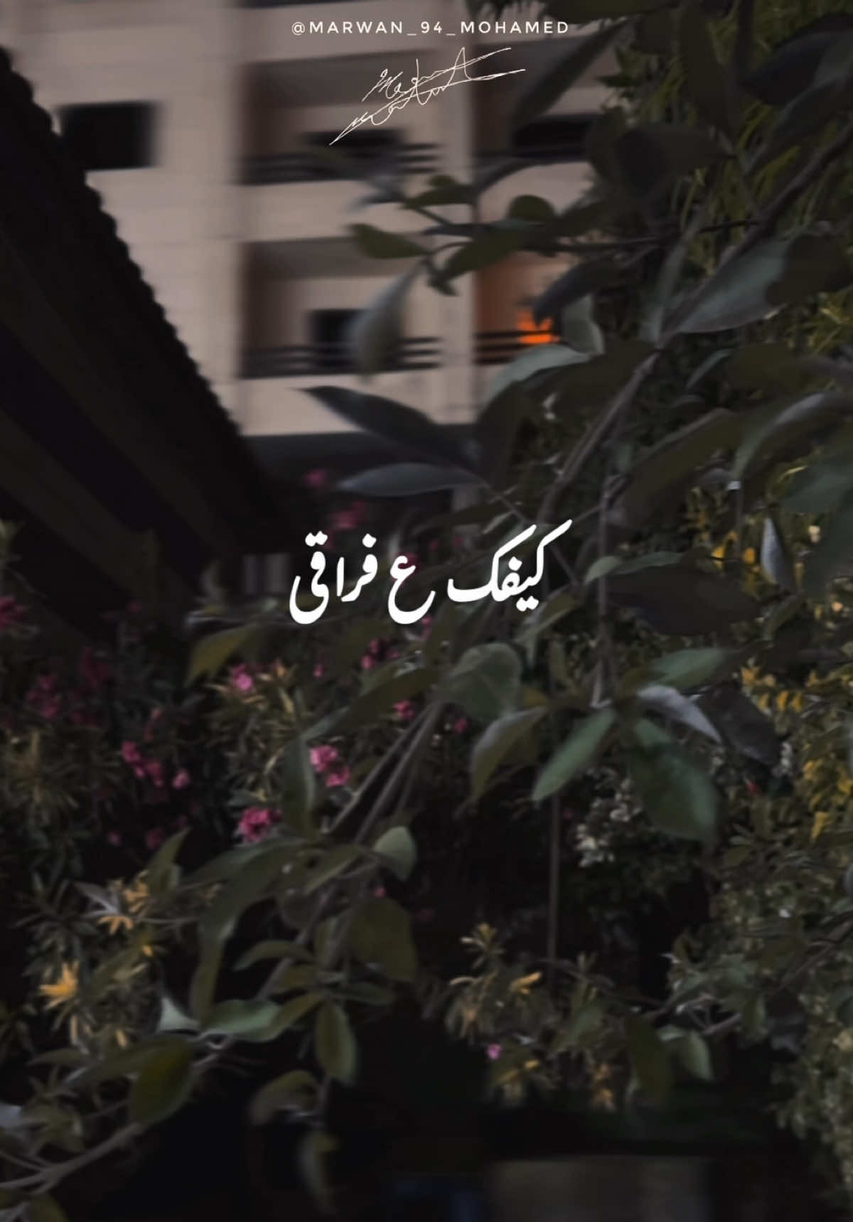 بعدك علي بالي..🖤#فضل_شاكر #فضل_شاكر_🎶🎵🎤🔚 #فضل_شاكر_🎶🎵🎤 #كيفك_ع_فراقي🥺 #اسكندريه #اسكندرية #حزن #حزين #اغاني_حزينه_💔👋😔 #fadlshaker #fadl_shaker 