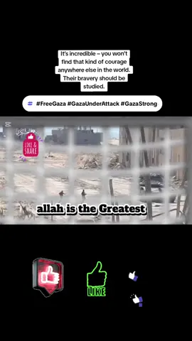 #FreeGaza #GazaUnderAttack #GazaStrong #SaveGaza #StopGazaGenocide