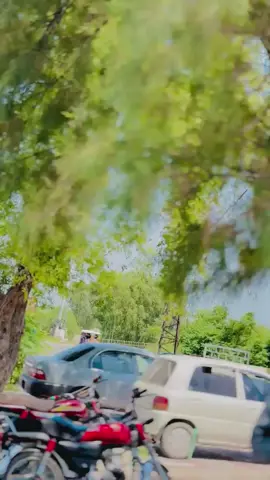 #shrekooooo_baz_aa_jaio #✌️✌️🤘🤘🤘🤘💪💪 