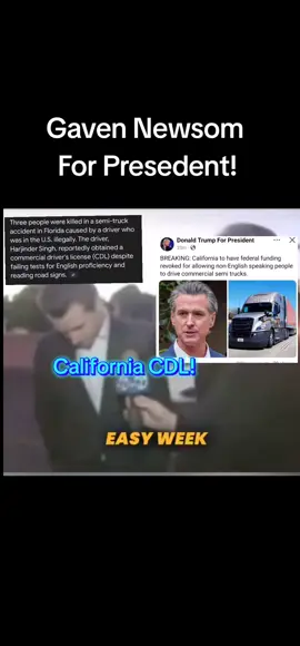 Do you want Gaven Newsom for your presedent? He did smazing things for California! #california #demacrats #liberals #cdl #illegalimmigrants 