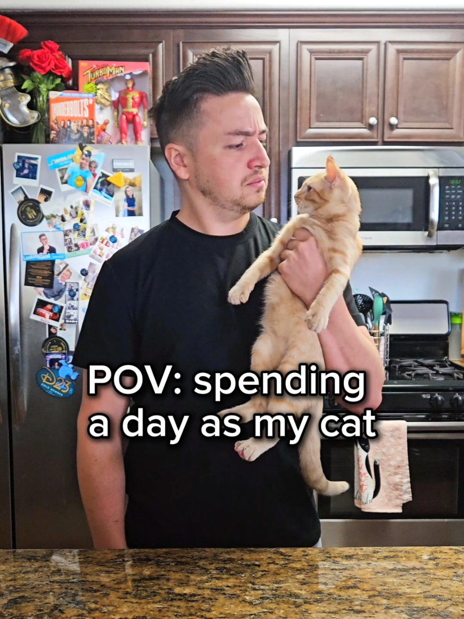 if you can't beat 'em...join 'em! 🤷🏻‍♂️😼 #catsoftiktok #catdad #catpeople #comedy #foryou 