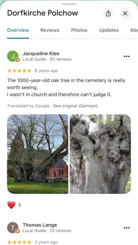 1000 year old oak tree in Northern Germany. Mashallah so incredible! #nature #adventure #alhamdulillah #oldtree #tree 