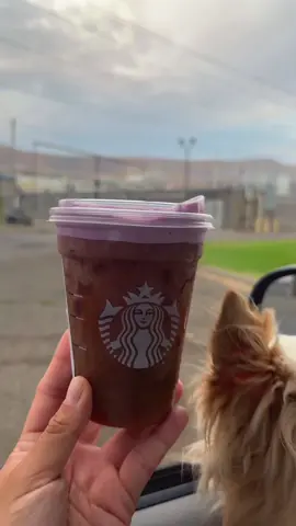 She’s pretty 💗@Starbucks  Raspberry cream cold brew. 💗 #trending #foryou #starbucks #coffeerun #skyliejenner 