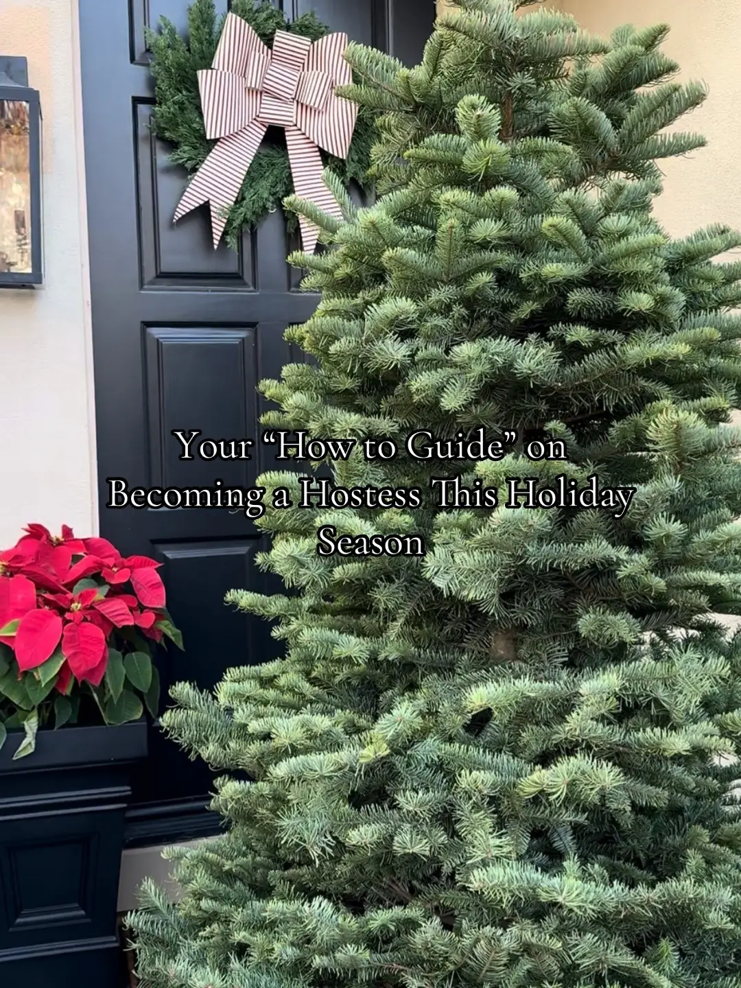 #hostess #hosting #homeinspo #howto #holidayseason 