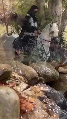 #يارب🤲🤲🤲🤲🤲🤲🤲🤲🤲🤲🤲🤲🤲 