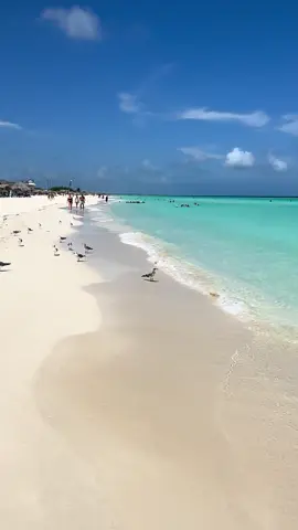 #creatorsearchinsights #traveltiktok #cuba #cayo Santa Maria #travel 