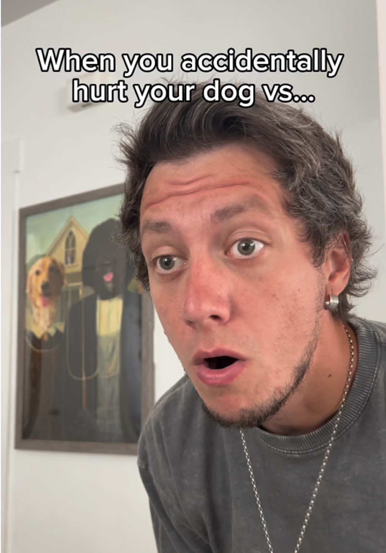 My Dog says me getting hurt isn’t her problem 🫠 #dog #dogsoftiktok #comedy #relatable #fyp 