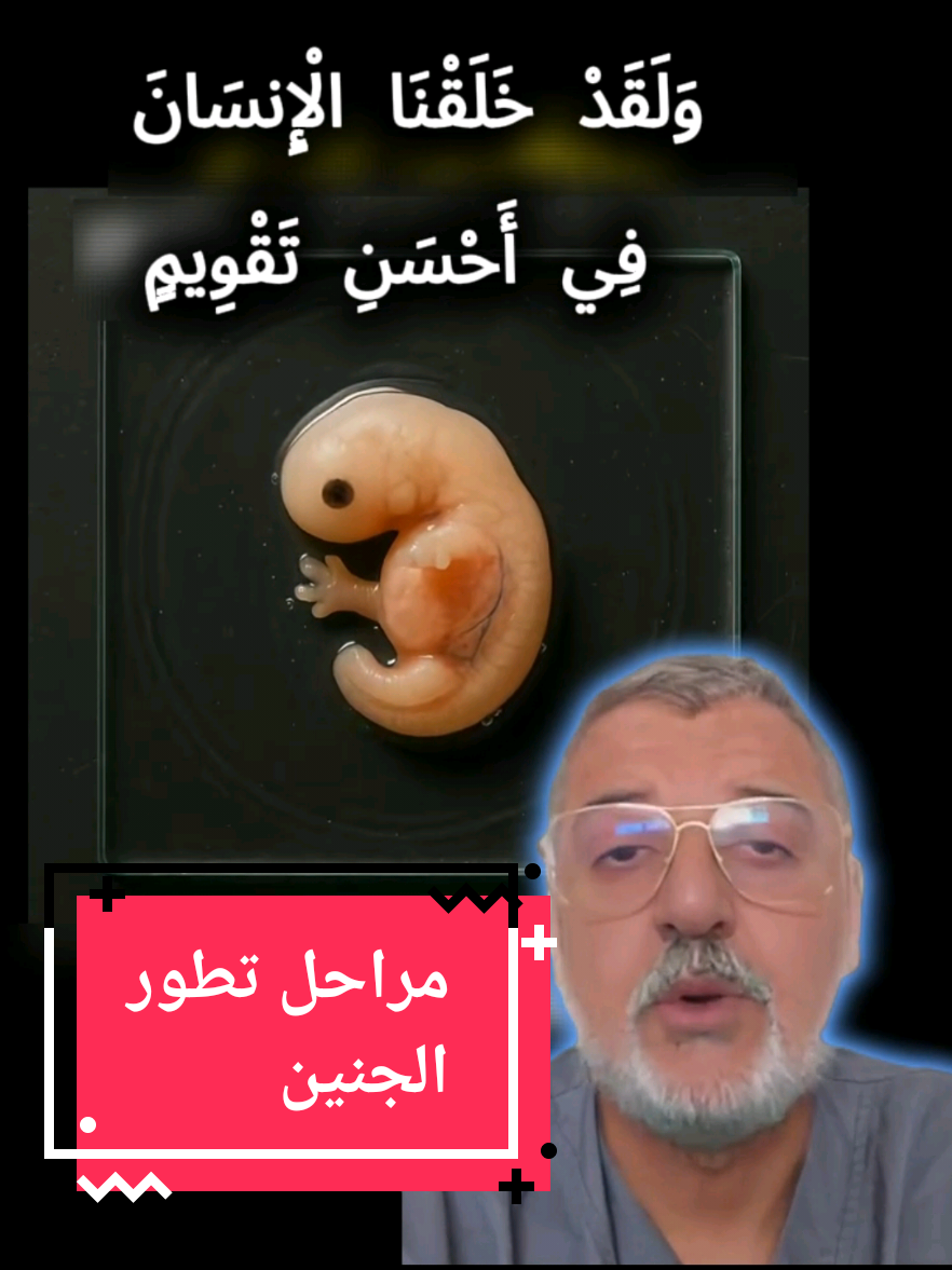 مراحل تطور الجنين  #حمل #رضاعه #ام #امي 