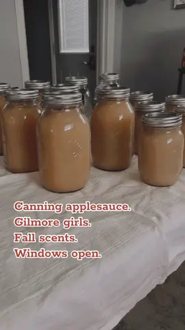 Yes 😌🍂🍎 #indiana #fallvibes #gilmoregirls 