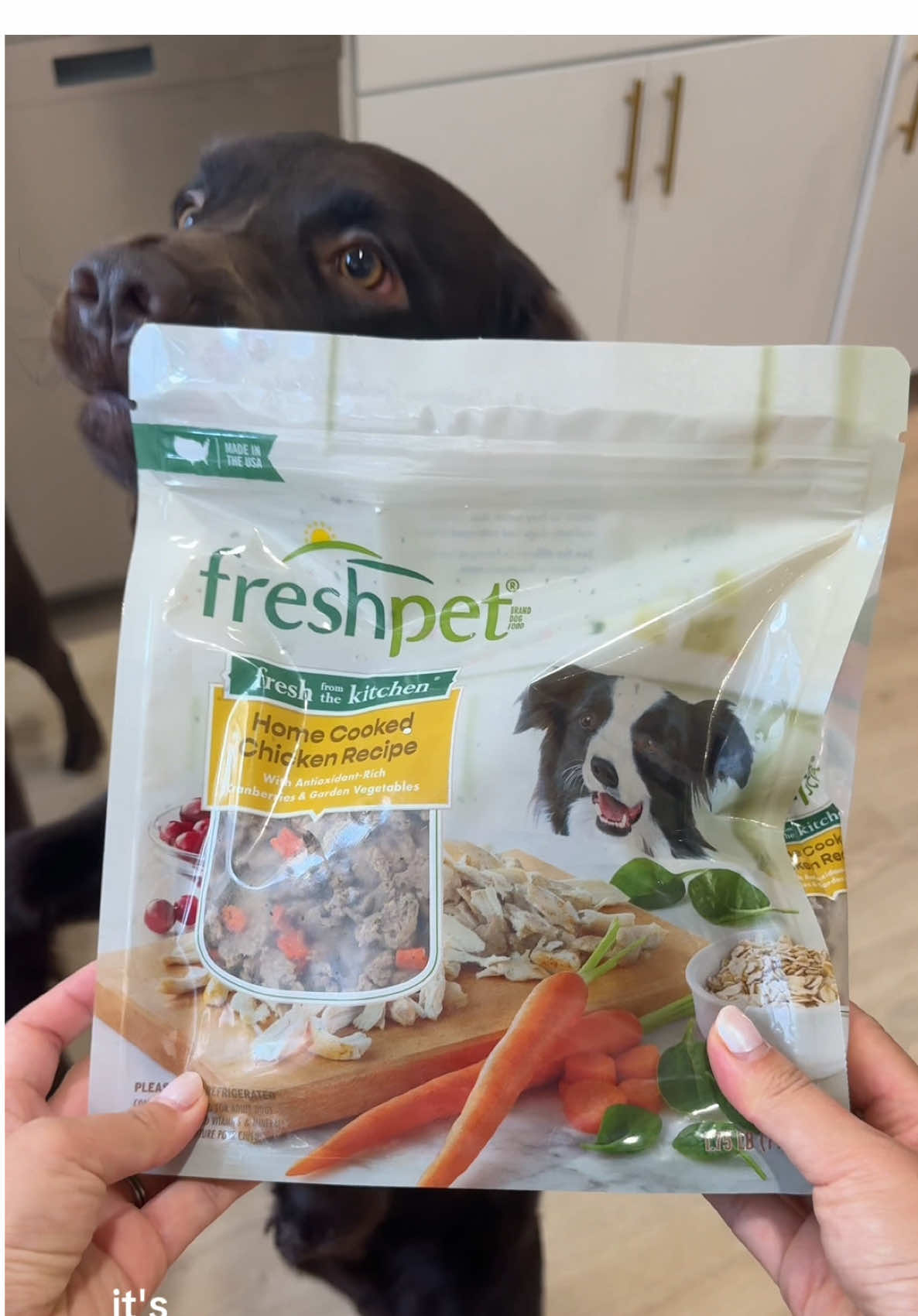 There’s nothing better than high protein meals for the whole family 🤍 Freshpet's recipes are Vet-developed, and made with real meat, fruits, and veggies that you can actually see. Moose and Maverick absolutely love it! @Freshpet #ad #dogmom #dogmomlife #doglife #morningroutine 