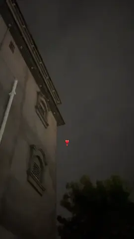 #typj 