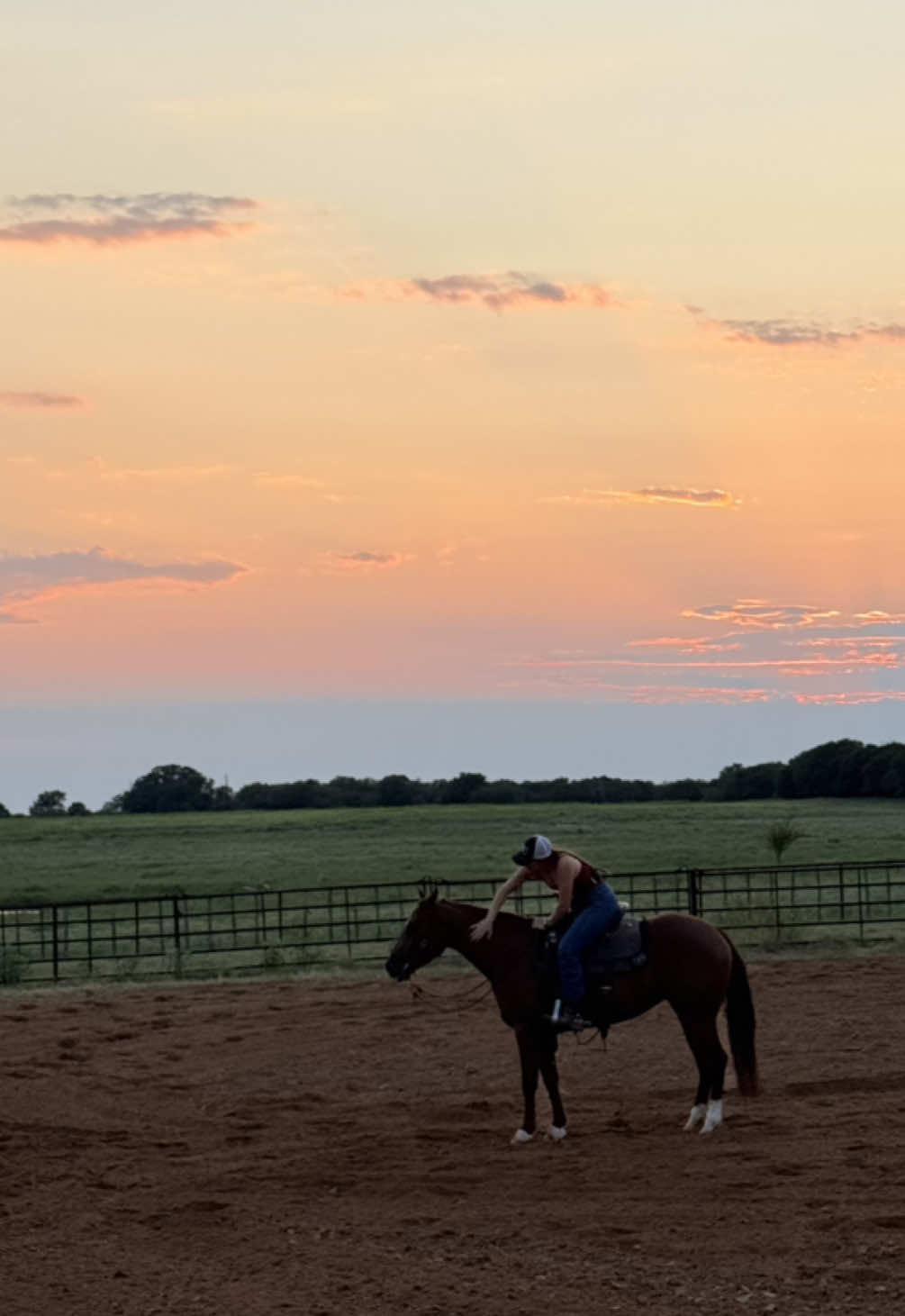 Flirt is ready to take on the @Cowboy Mounted Shooting Assoc Futurity in a couple weeks🤩 #flirtinforacocktail #cmsa #fyp 