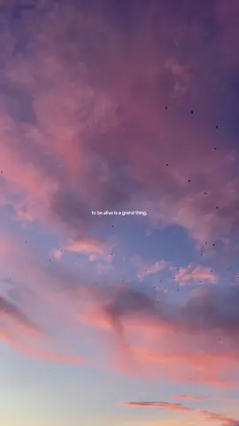 being alive IS the special occassion💛 #HealingJourney #nature #mindset #aesthetic #travel 