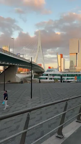 #هولندا🇳🇱 #تصويري📸 #rotterdam 