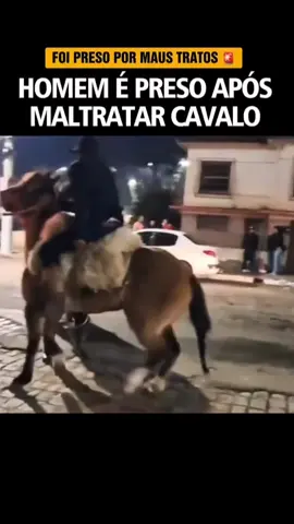 #cavalo #animals #policia 