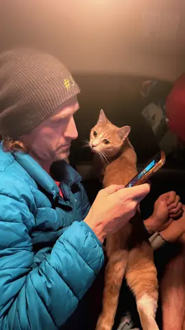 When you’re making a video about your adventure cat but your adventure cat wants to go out for another adventure.