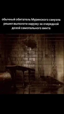 #мурино #жмурино #ужас #лабиринтминотавра 