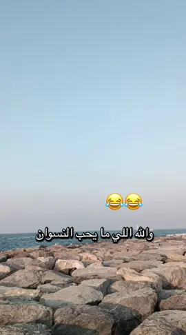40 حورية 😂😂 #سوريا🇸🇾 #syria #الشعب_الصيني_ماله_حل😂😂 #tiktok #tiktoklongs 